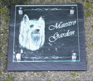 Plaque professionnelle